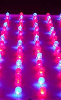 45 Watt LED Grow Lampe Wuchslampe Rot/Blau   Neu  