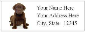 120Chocolate Lab PuppyCustom Address Labels 1 x 2 5/8  