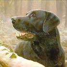 John Silver 10pk Luxury Xmas Cards Black Labrador Lab   Morning Mist 