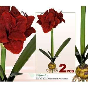 TWO Artificial 24 Amaryllis Bendable Flowers for Christmas Decoration