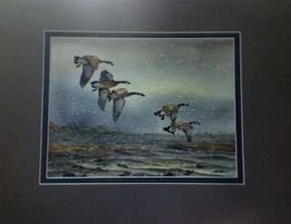   Signed Original watercolor Painting Waterfowl CANADA GEESE  