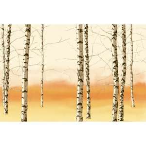  Birch Trees. Cream / Orange. Eco Value Murals. 96 X 144 