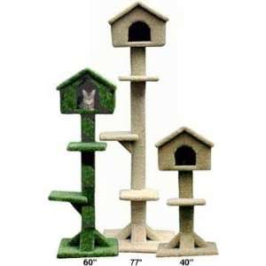    Sky House Cat Tree : Color OFF WHITE : Size 60 INCH: Pet Supplies