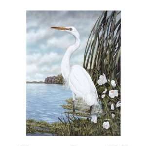  James Harris   Great White Egret: Home & Kitchen