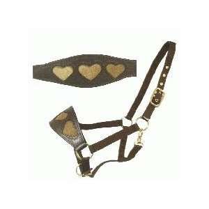  Horse Size Nylon Bronc Halter with Heart Cutouts on the 