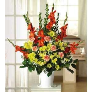  Same Day Flower Delivery Gladiolus, Carnations and 