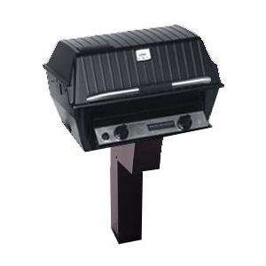   Combination Natural Gas Grill On Black In Ground Post
