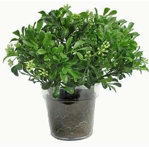    11 Boxwood Tabletop Artificial Potted Plant